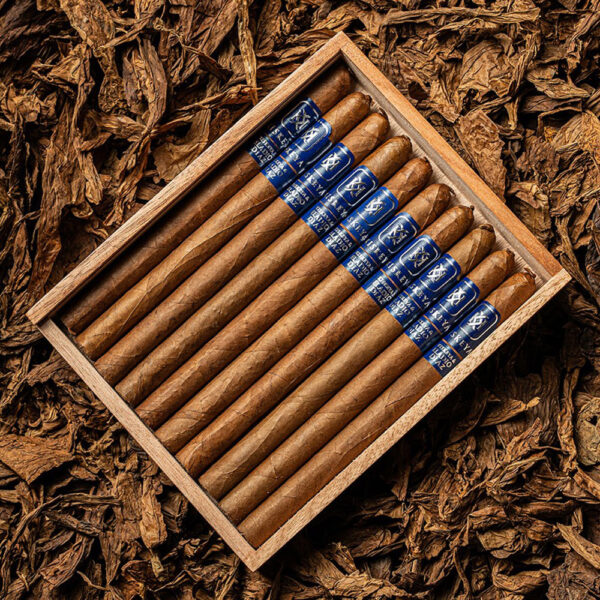 The Kiskeya - Lancero (Box of 10)